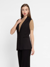 Класичний жилет Arber модель W20.09.02.411 Фото