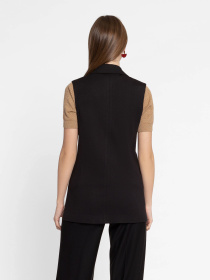 Класичний жилет Arber модель W20.09.02.411 Фото