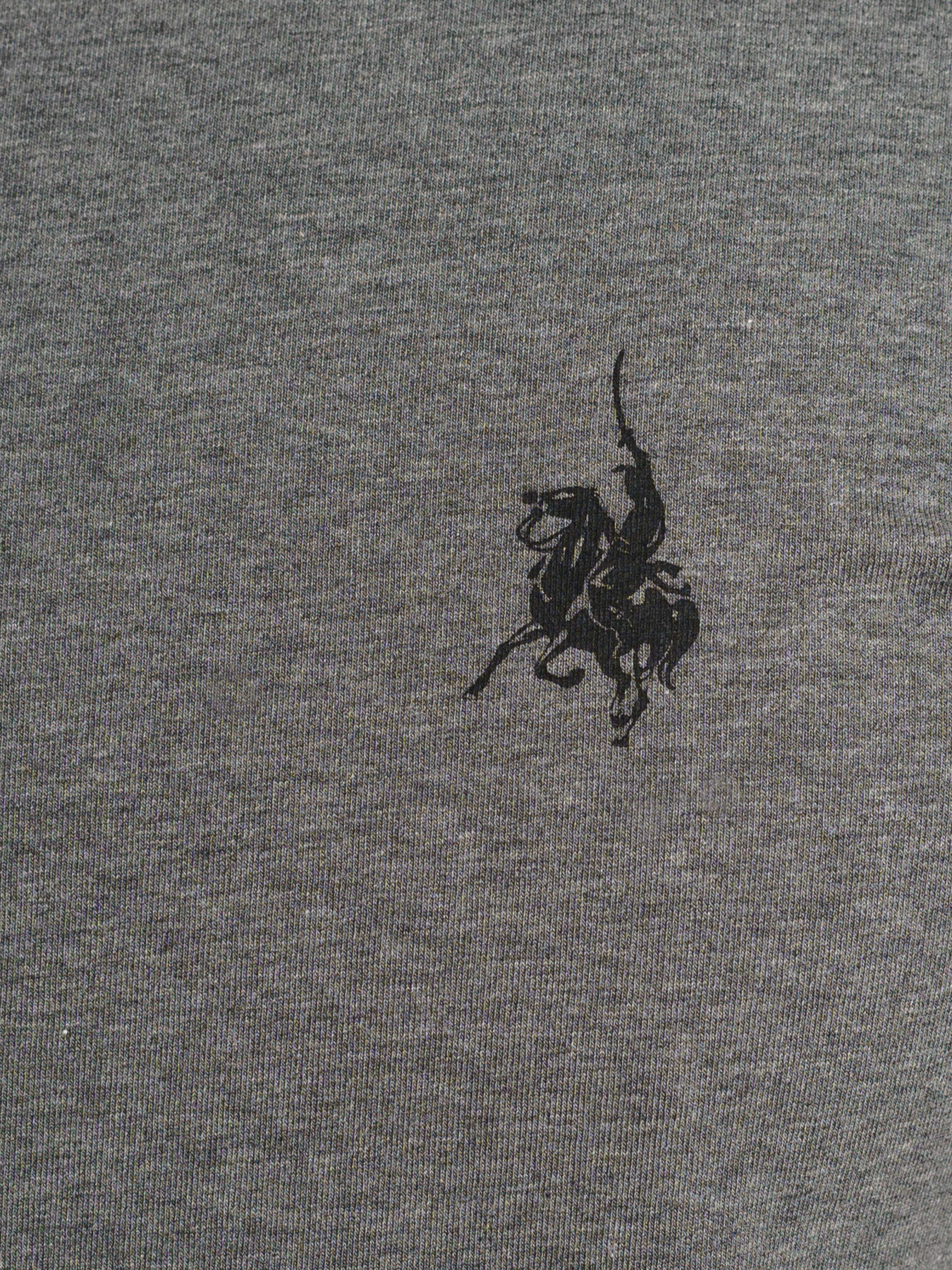 Футболка Arber модель F13.14.14.412 Фото