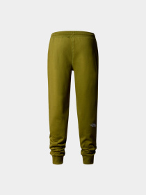 Брюки The North Face модель NF0A4SVQPIB1 Фото