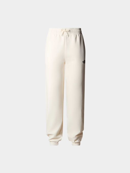 Брюки The North Face модель NF0A7ZJFQLI1 Фото