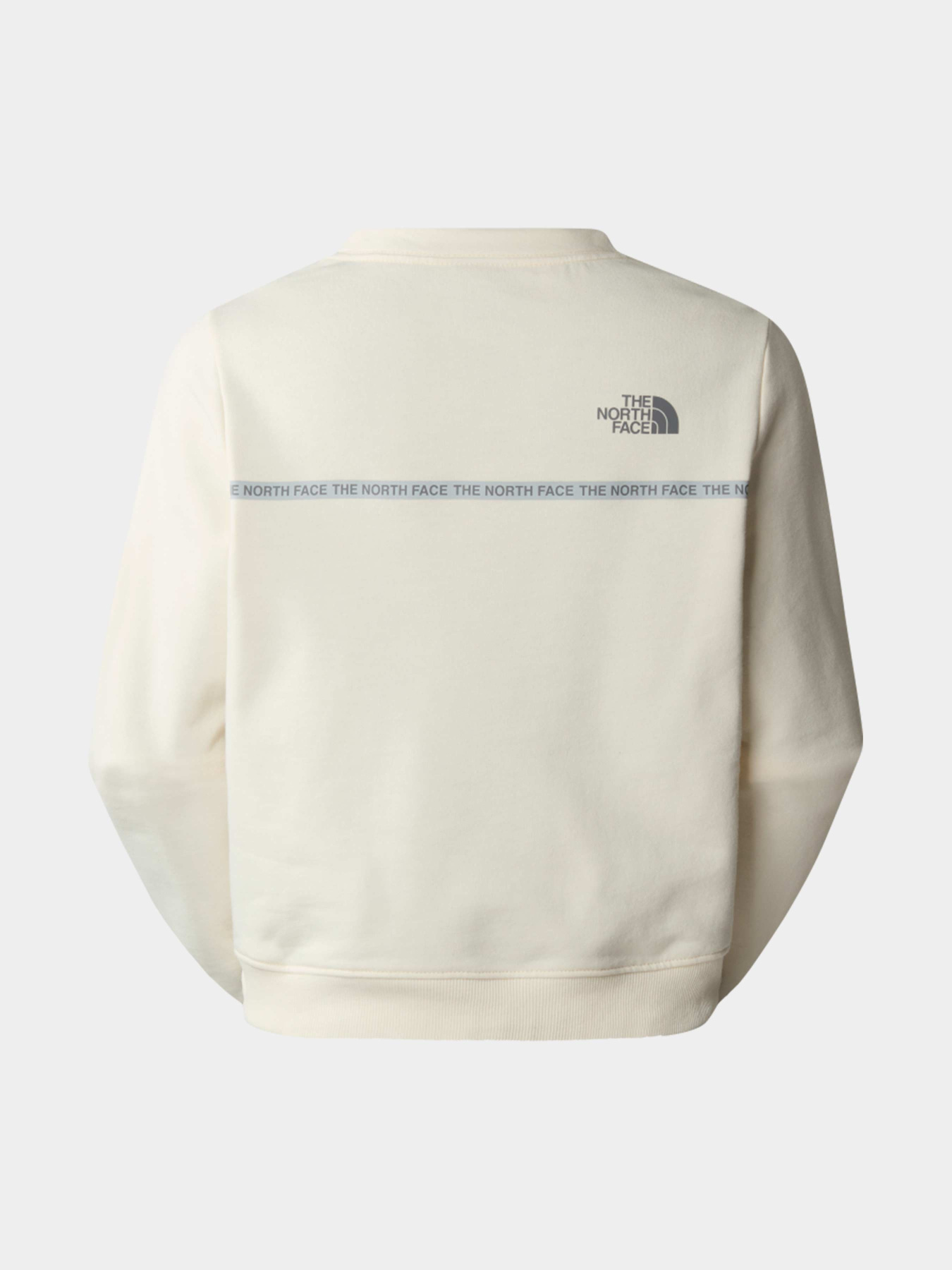 Худи и свитшоты The North Face модель NF0A87DHQLI1 Фото