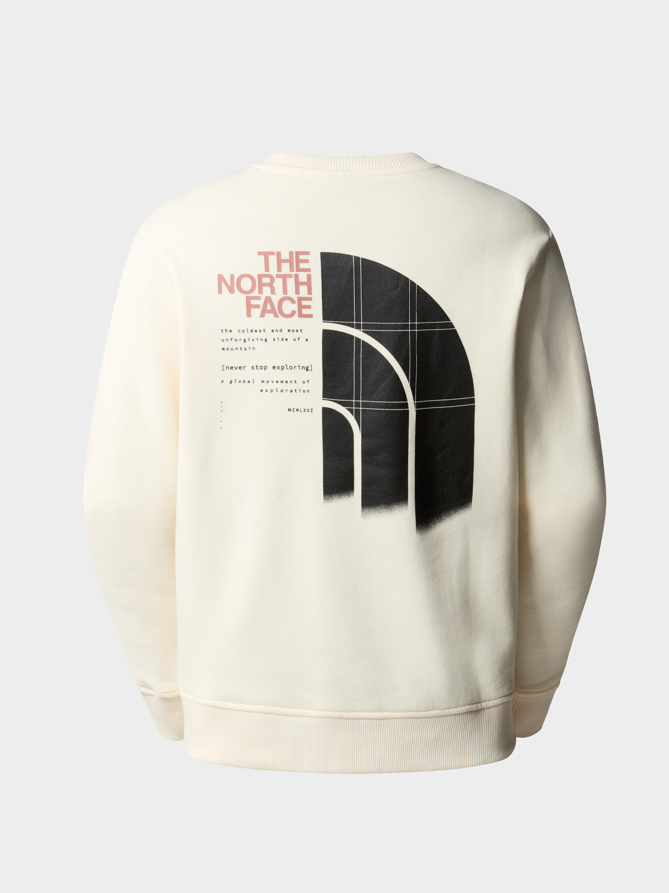 Худи и свитшоты The North Face модель NF0A87EYQLI1 Фото