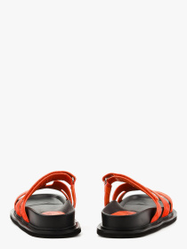 Шльопанці LeBERDES модель 00000016867 Фото