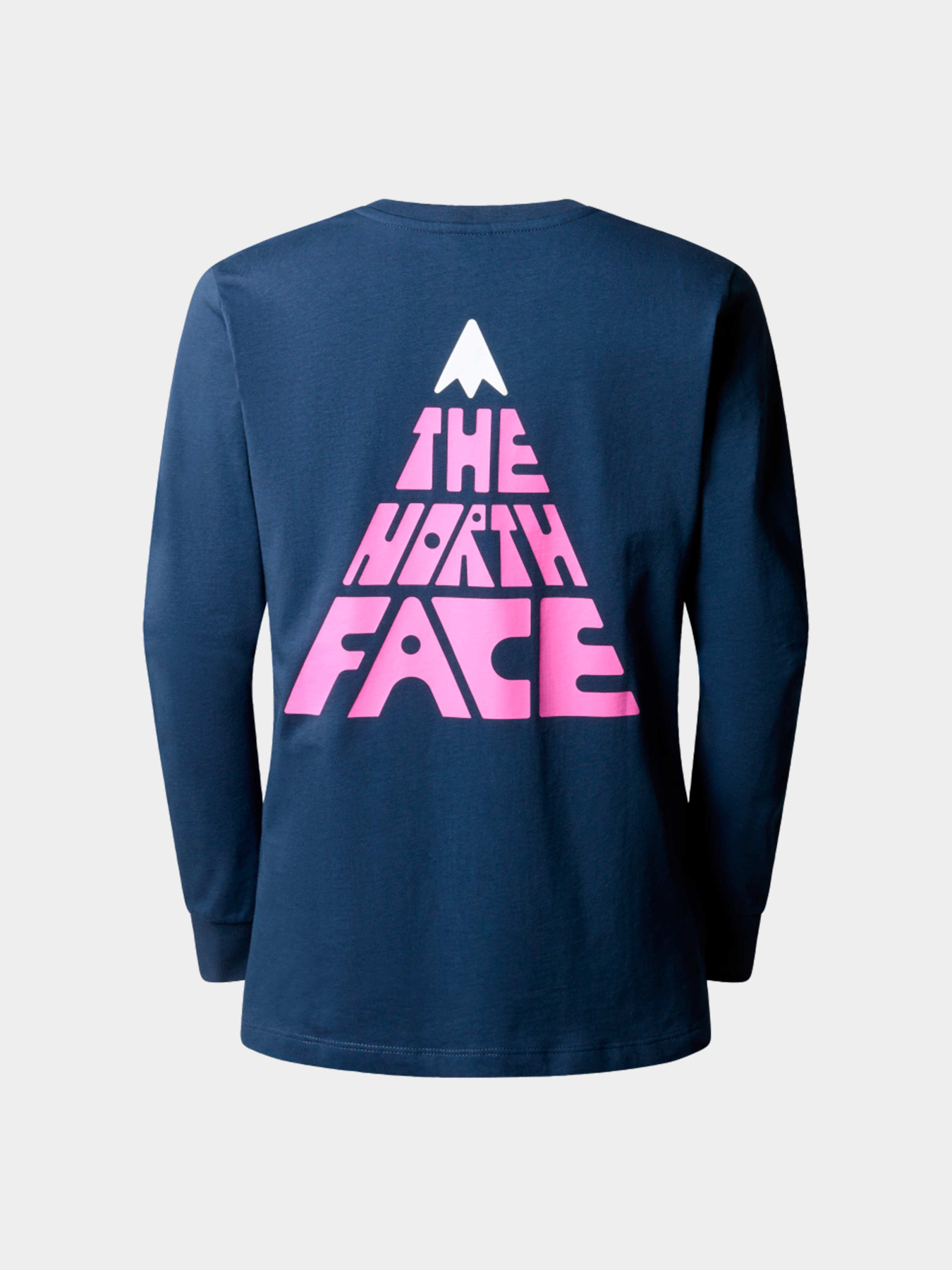 Худи и свитшоты The North Face модель NF0A87ER8K21 Фото