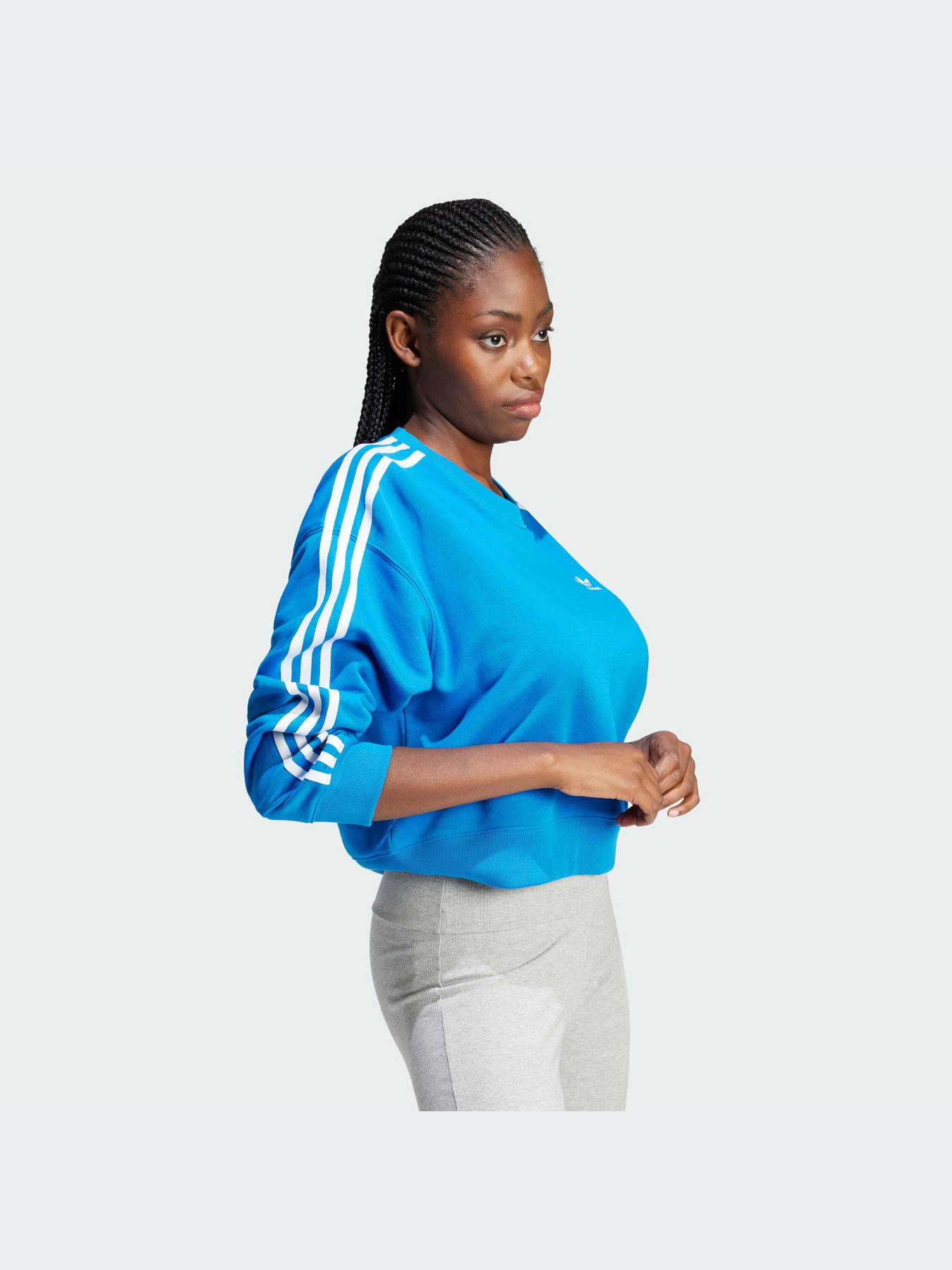 Худи и свитшоты Adidas Adicolor модель IR5523-KZ Фото