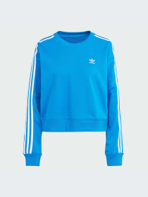 Худи и свитшоты Adidas Adicolor модель IR5523-KZ Фото