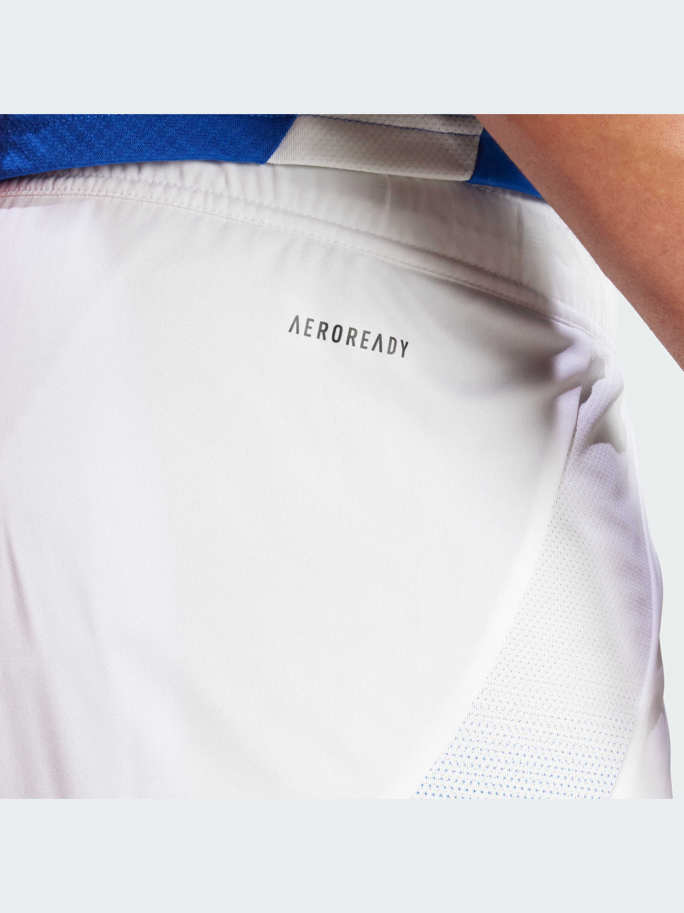 Спортивні шорти Adidas модель IQ0494 Фото