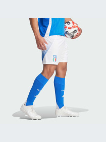 Спортивні шорти Adidas модель IQ0494 Фото