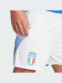 Спортивні шорти Adidas модель IQ0494 Фото