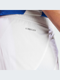 Спортивні шорти Adidas модель IQ0494 Фото