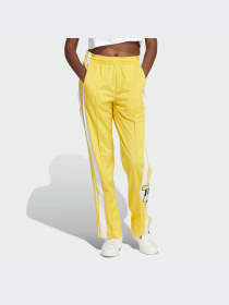 Штани повсякденні Adidas Adicolor модель IP0622 Фото