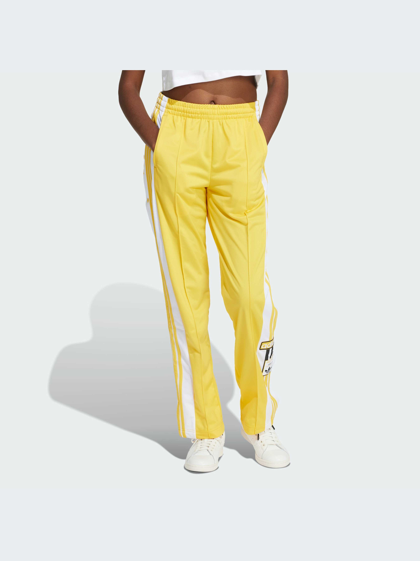 Повседневные штаны Adidas Adicolor модель IP0622 Фото