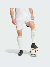 Шорты спортивные Adidas модель HR3793 Фото