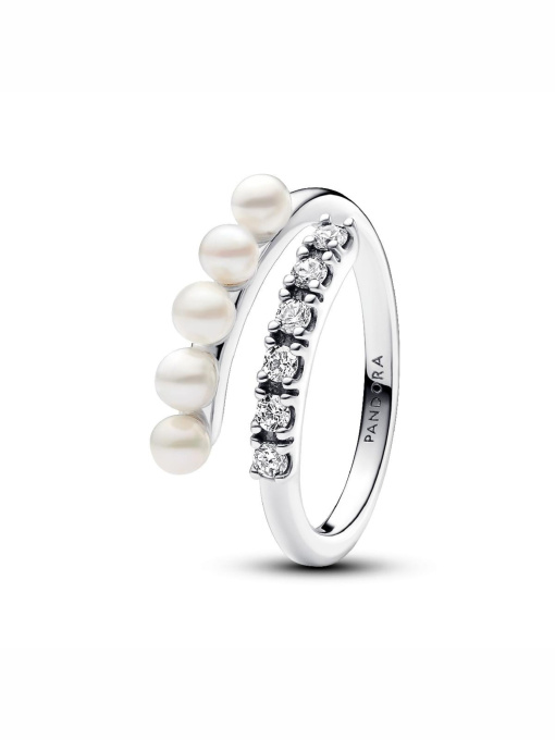 Кольца PANDORA Moments модель 193145C01 Фото