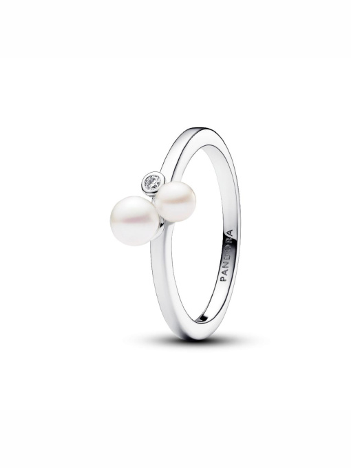 Кольца PANDORA Moments модель 193156C01 Фото