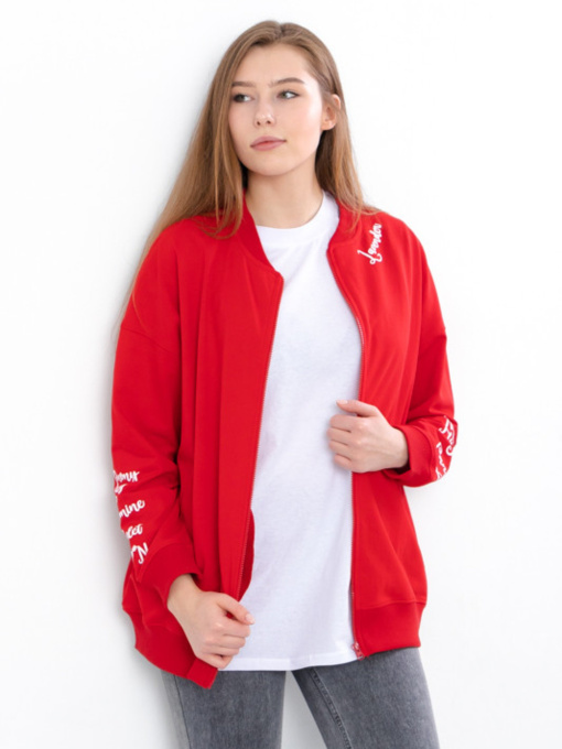Кофта Носи своє модель 3374-057-33-chervonij Фото