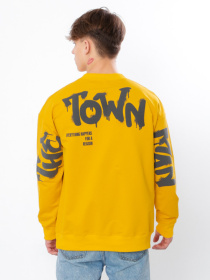 Свитшот Носи своє модель 3364-057-33-grchicq Фото