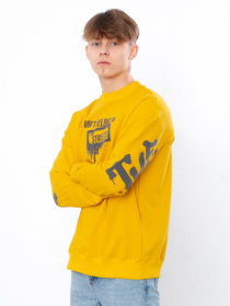 Свитшот Носи своє модель 3364-057-33-grchicq Фото