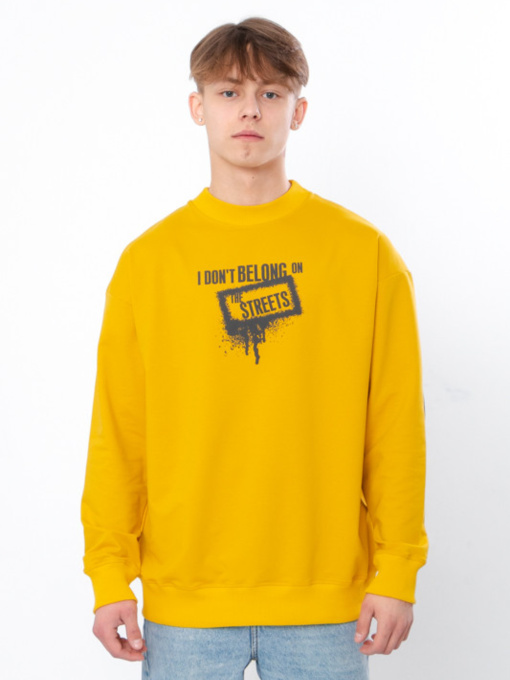 Світшот Носи своє Модель 3364-057-33-grchicq Фото