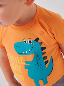 Песочник SMIL модель smil_111287-oranzevyj Фото