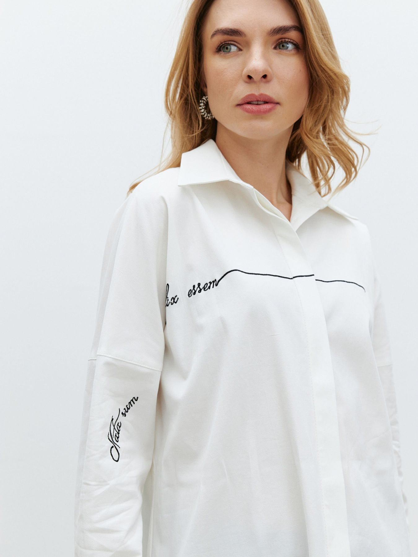 Рубашка RicaMare модель RM4171-24-10DB Фото