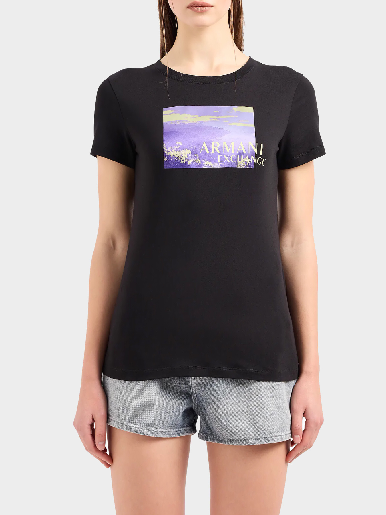 Футболки и поло Armani Exchange модель 3DYT55-YJ3RZ-1200 Фото