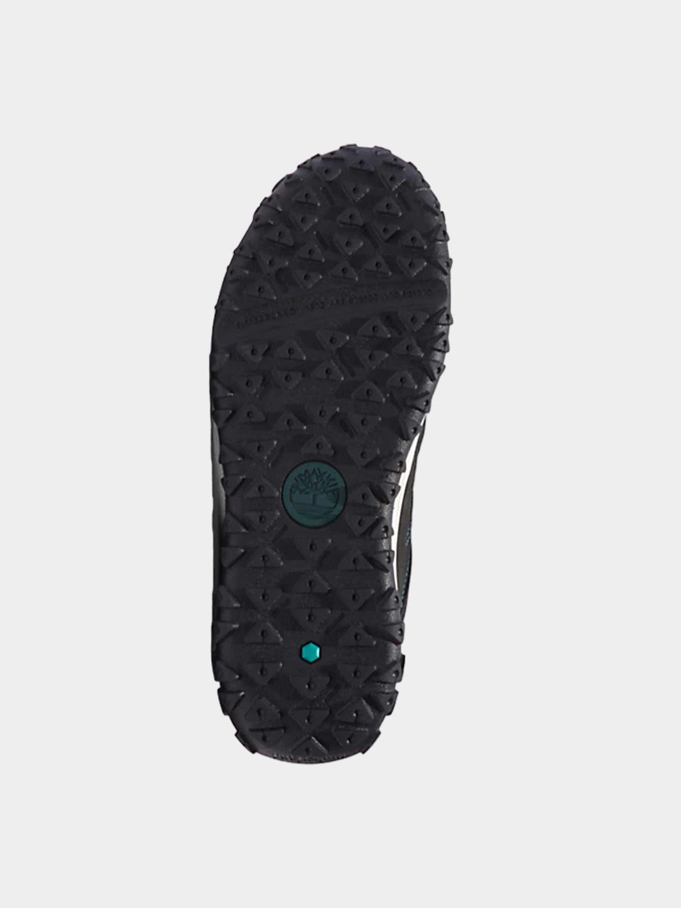 Кроссовки Timberland модель TB0A646CEL11 Фото