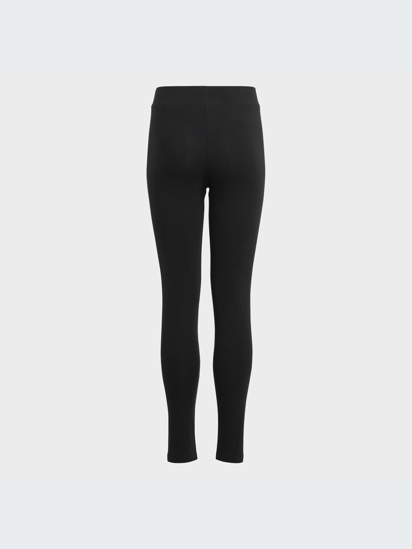 Леггинсы Adidas модель IC3579 Фото