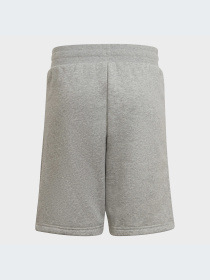 Повсякденні шорти Adidas Adicolor модель HD2062 Фото