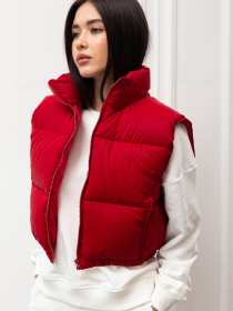 Жилет з утеплювачем Famo модель JL-2220_01 Фото