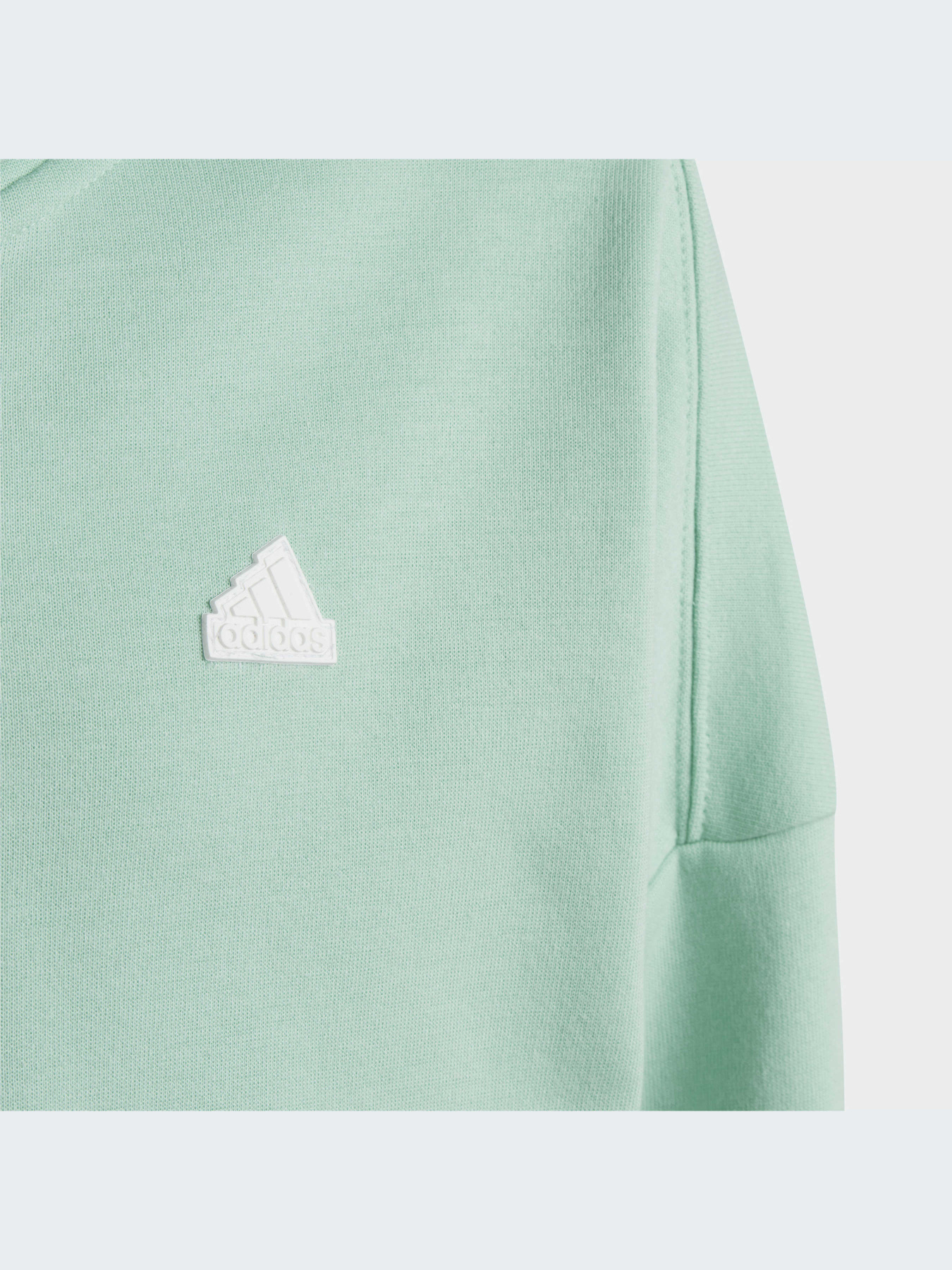 Кофта Adidas Культовые силуэты модель HR6319 Фото