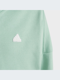 Кофта Adidas Культовые силуэты модель HR6319 Фото