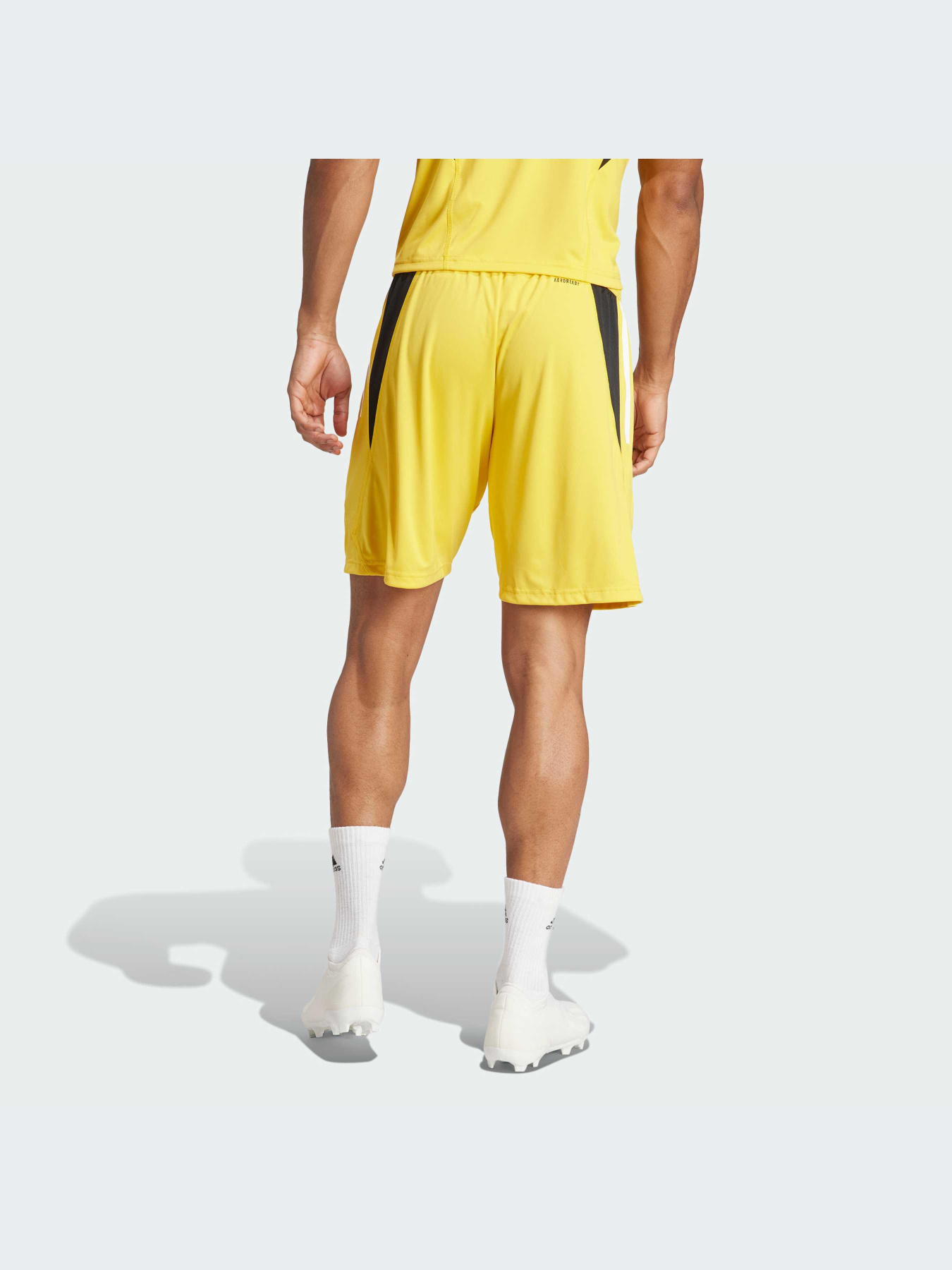 Спортивні шорти Adidas модель IQ0870 Фото