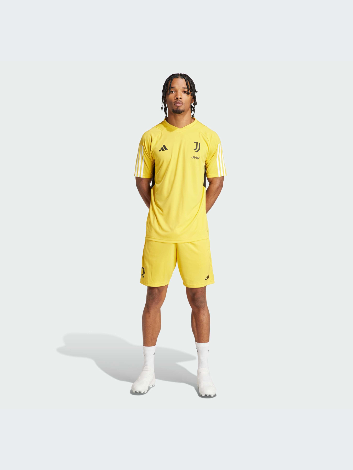 Спортивні шорти Adidas модель IQ0870 Фото