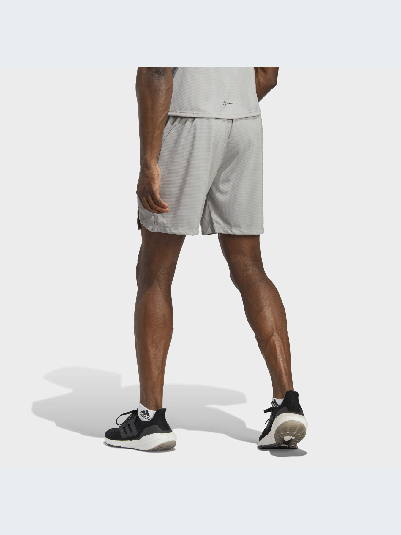 Спортивні шорти Adidas модель IC2096 Спортивні шорти Adidas модель IC2096 Фото