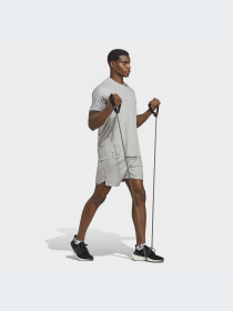 Спортивні шорти Adidas модель IC2096 Спортивні шорти Adidas модель IC2096 Фото