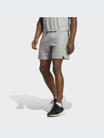 Спортивні шорти Adidas модель IC2096 Спортивні шорти Adidas модель IC2096 Фото