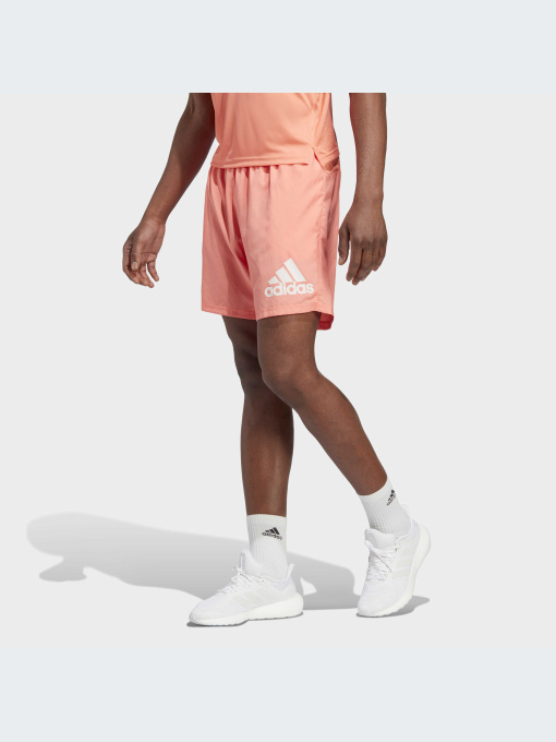 Шорты спортивные Adidas модель IC7638 Фото