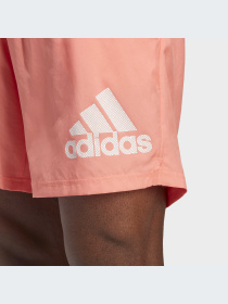 Спортивні шорти Adidas модель IC7638 Фото