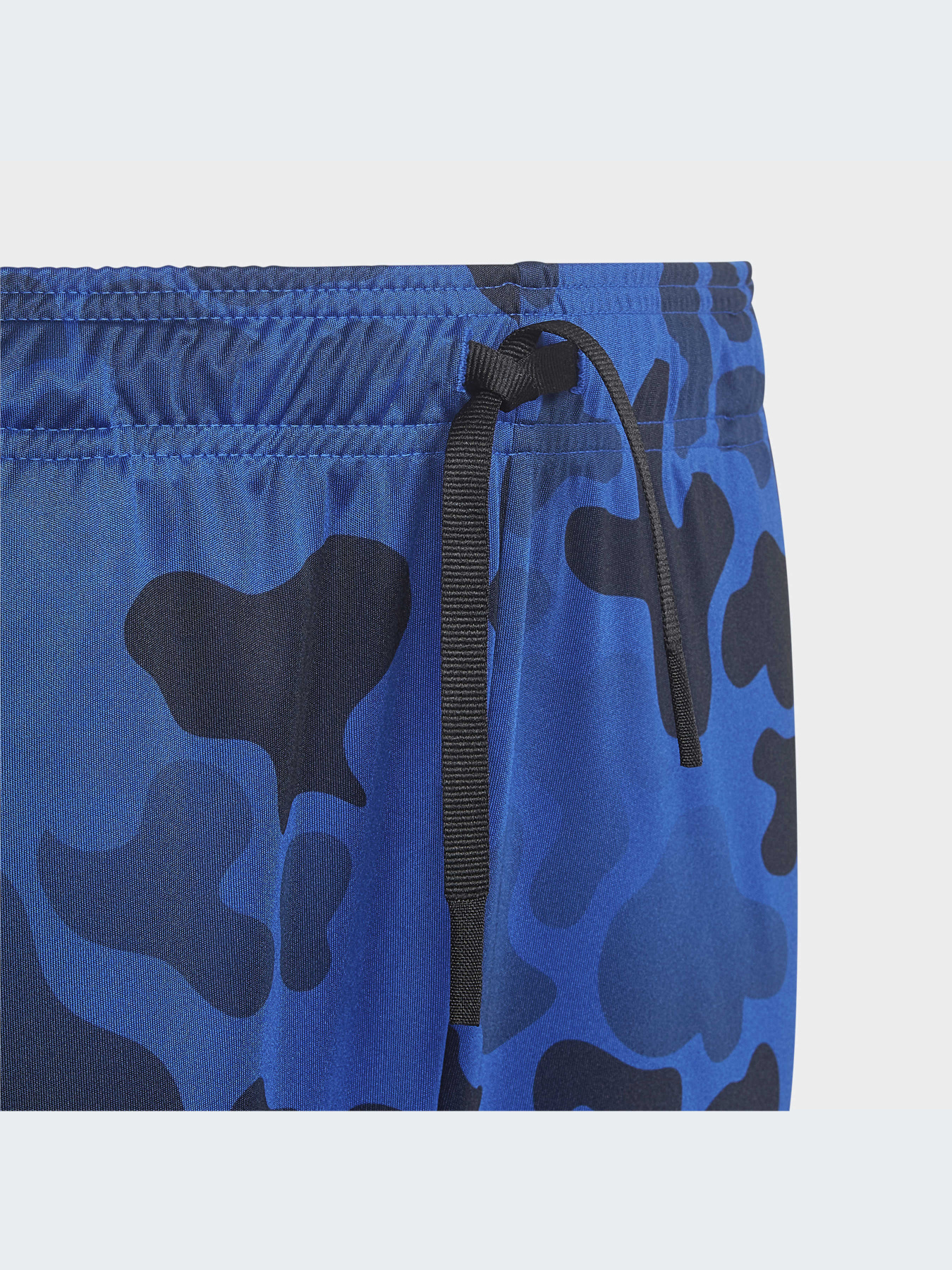 Шорти спортивні Adidas модель HM9202 Фото