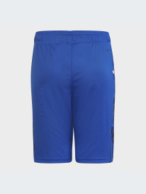 Шорты спортивные Adidas модель HM9202 Фото