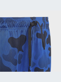 Шорты спортивные Adidas модель HM9202 Фото