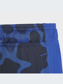 Шорты спортивные Adidas модель HM9202 Фото