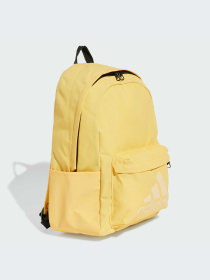 Рюкзак Adidas модель IR9841 Фото