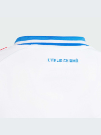 Футболка спортивна Adidas модель IQ0488 Фото