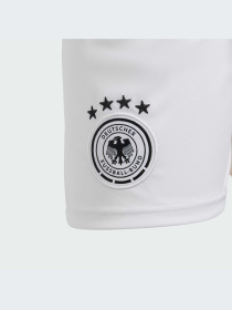 Шорты спортивные Adidas модель IP8138 Фото