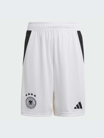 Шорты спортивные Adidas модель IP8138 Фото