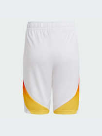 Спортивні шорти Adidas модель IP8138 Фото