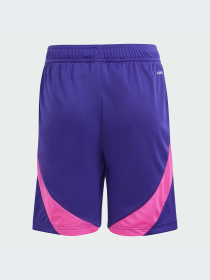 Шорты спортивные Adidas модель IP8162 Фото